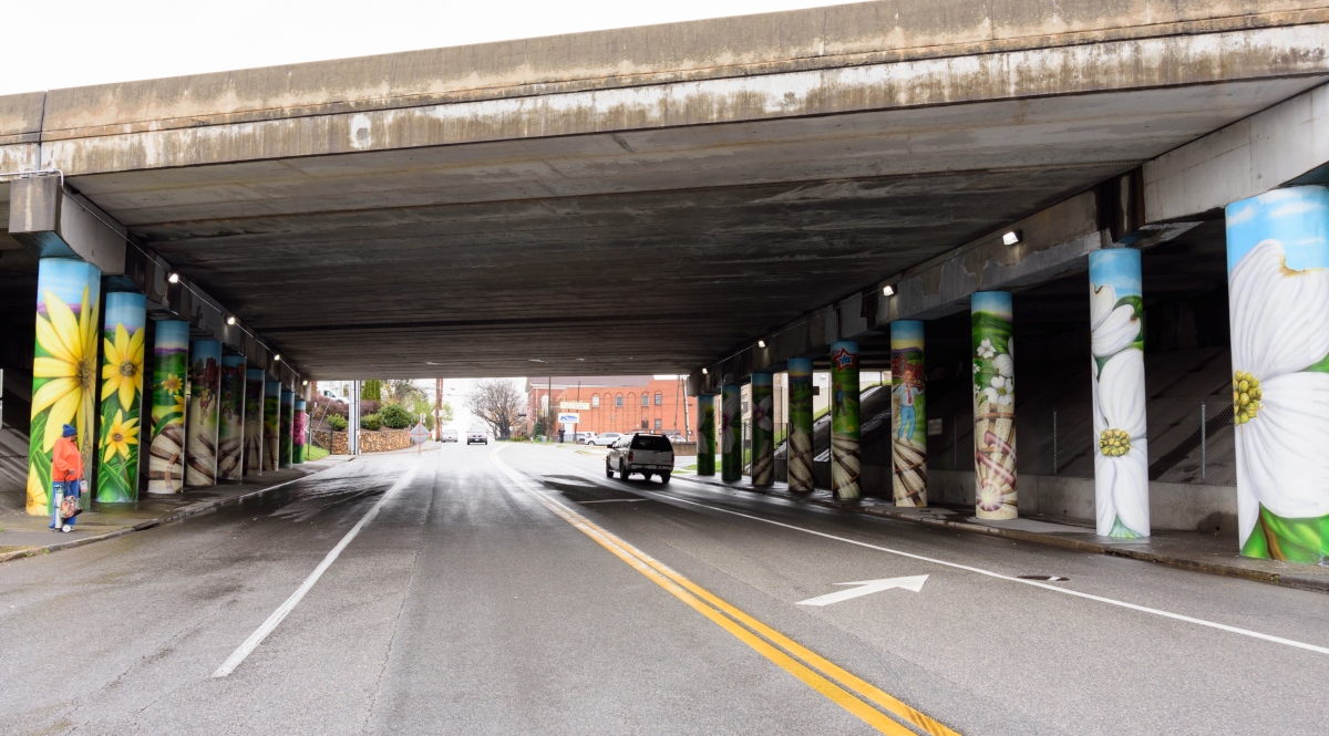 Roanoke Virginia MURAL        